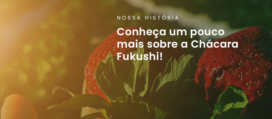 História da Chácara Fukushi